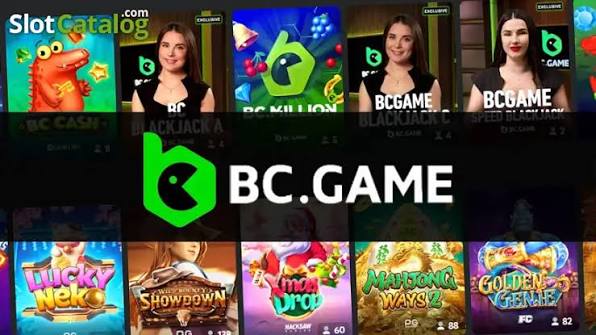 The Comprehensive Guide to BC App Verification Process The Comprehensive Guide to BC App Verification Process